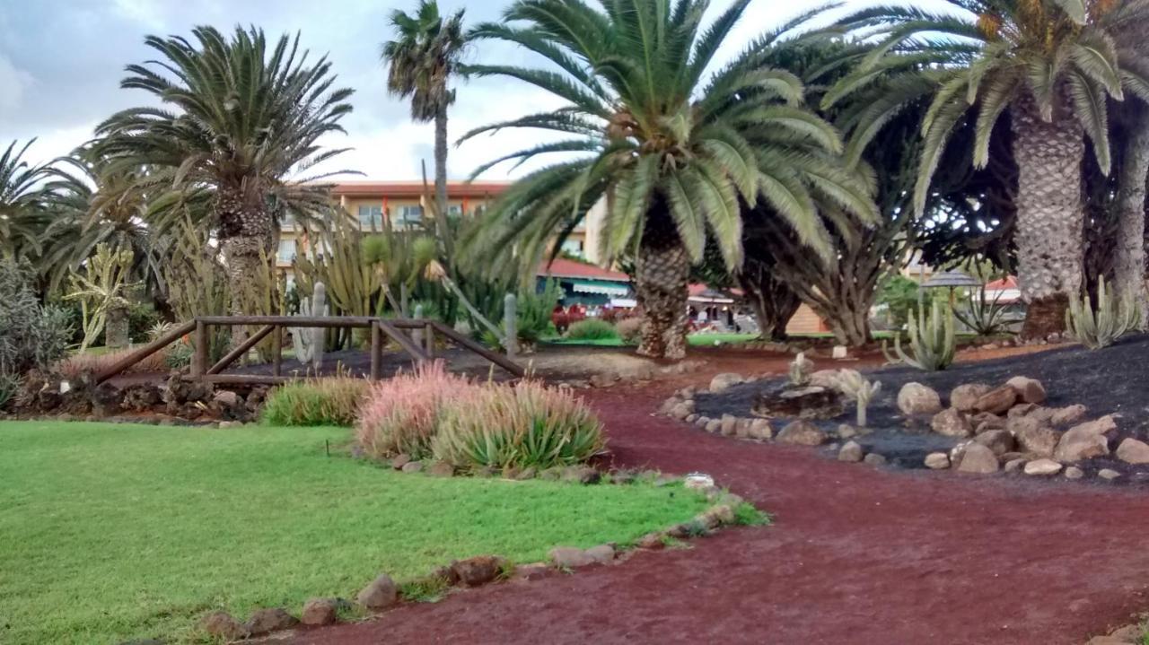 Le Poulpe Bleu Fuerteventura Chic And Relax Daire Puerto del Rosario  Dış mekan fotoğraf